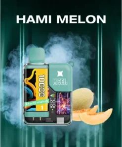 MEEL 麻將盒子一次性 2 e1744770570484