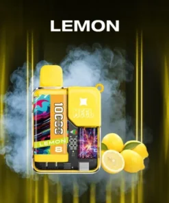 MEEL 麻將盒子一次性 4 e1744770597602